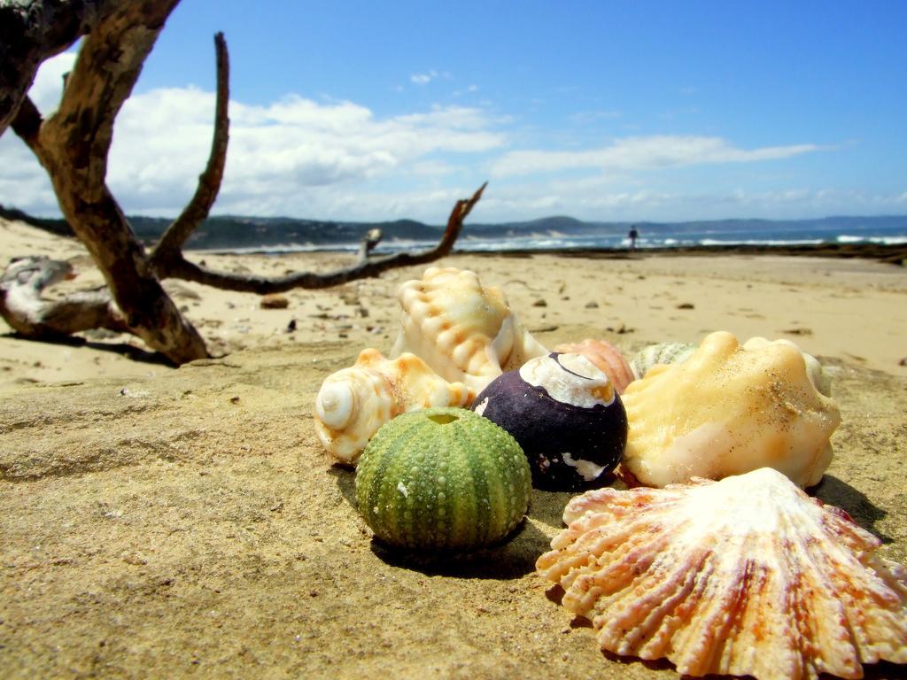 Buccaneers Beach Lodge, Chintsa, South Africa Εξωτερικό φωτογραφία